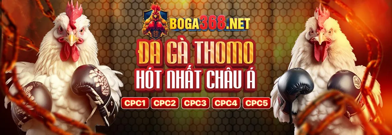 Hình ảnh đại diện cho Điều khoản Dịch vụ của pbv88 chính thức